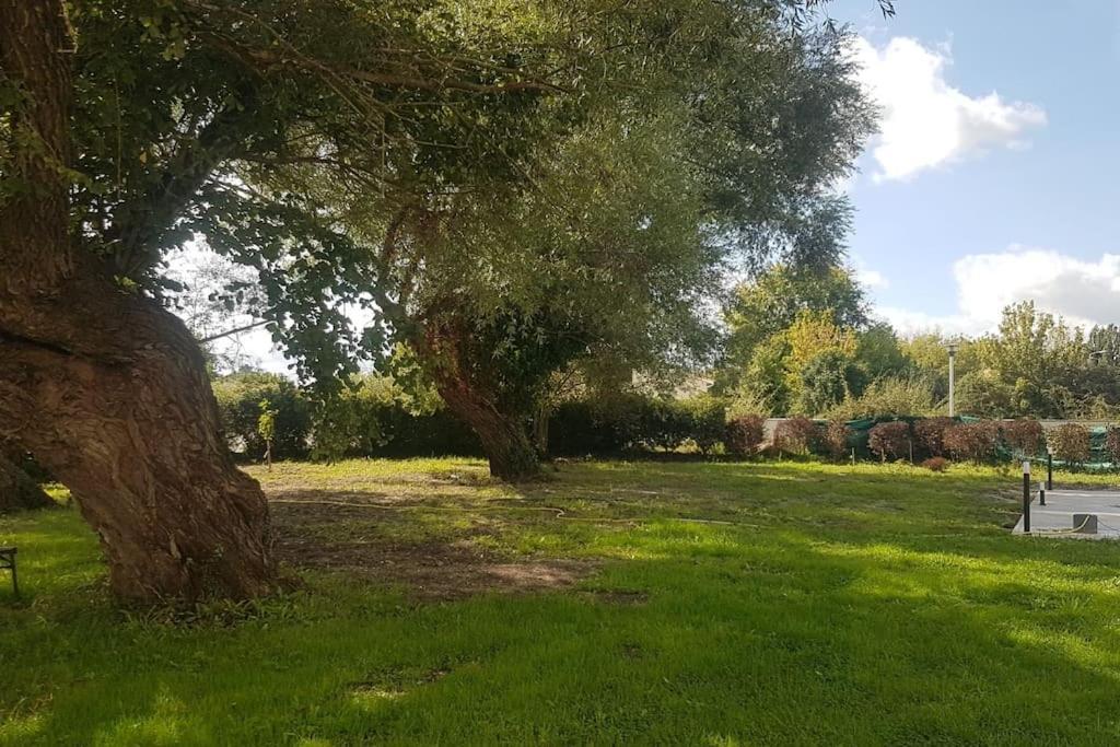 Villa Demeure En Pierre Avec Piscine Privee Etauliers Esterno foto